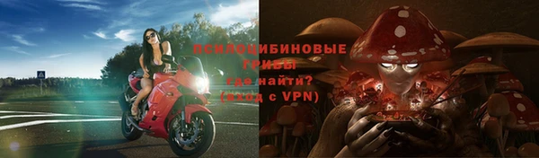 МДПВ Лихославль