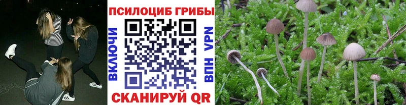 Псилоцибиновые грибы MAGIC MUSHROOMS  продажа наркотиков  Юхнов 